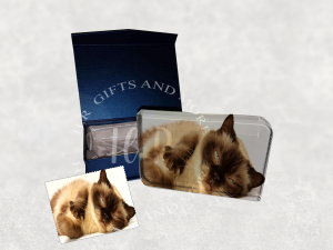 Personalised Animal Photo Crystal Block