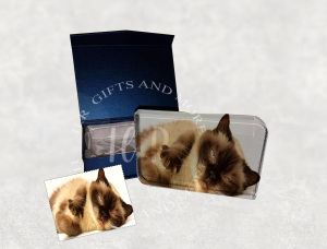 Personalised Animal Photo Crystal Block