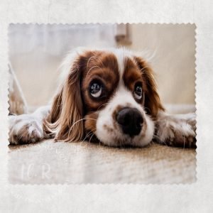 Personalised Pet Photo Len's Cloth