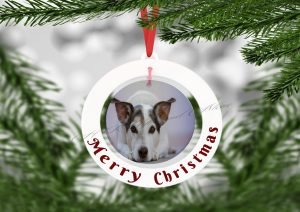 Personalised Merry Christmas Pet Photo Bauble