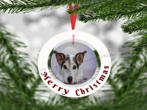 Personalised Merry Christmas Pet Photo Bauble