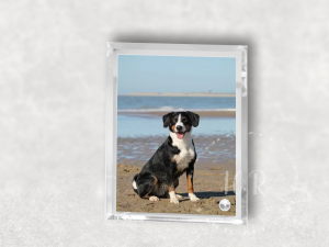 Home Personalised Crystal Glass Pet Photo Rectangle Frame