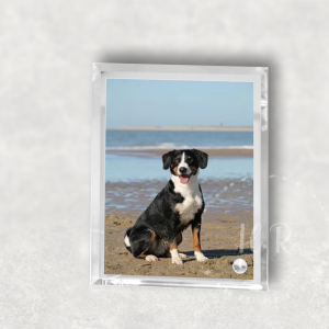 Personalised Crystal Glass Pet Photo Rectangle Frame