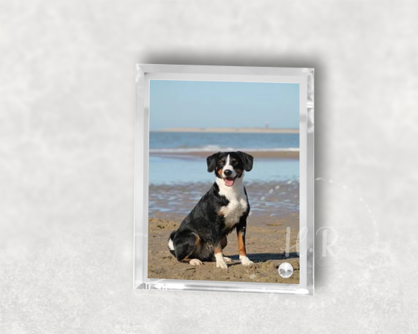 Personalised Crystal Glass Pet Photo Rectangle Frame