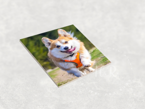 Home Accessories Personalised Photo Tile