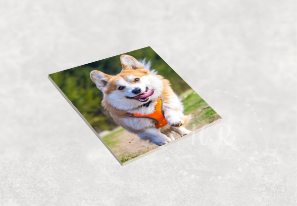 Personalised Photo Tile