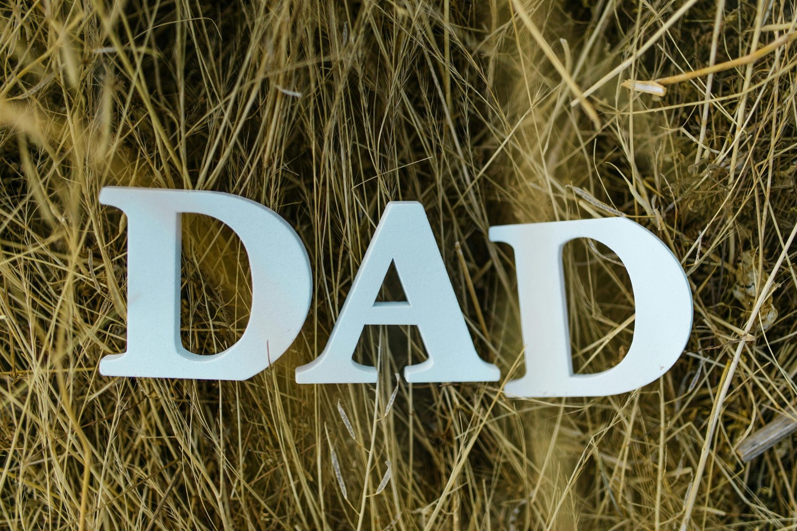 Stylized letters spelling 'DAD' set against a background of rustic hay, perfect for Father's Day themes.