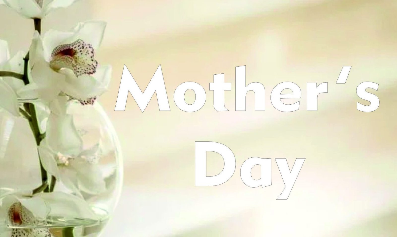 Home 7 scaled e1758997186121.jpg