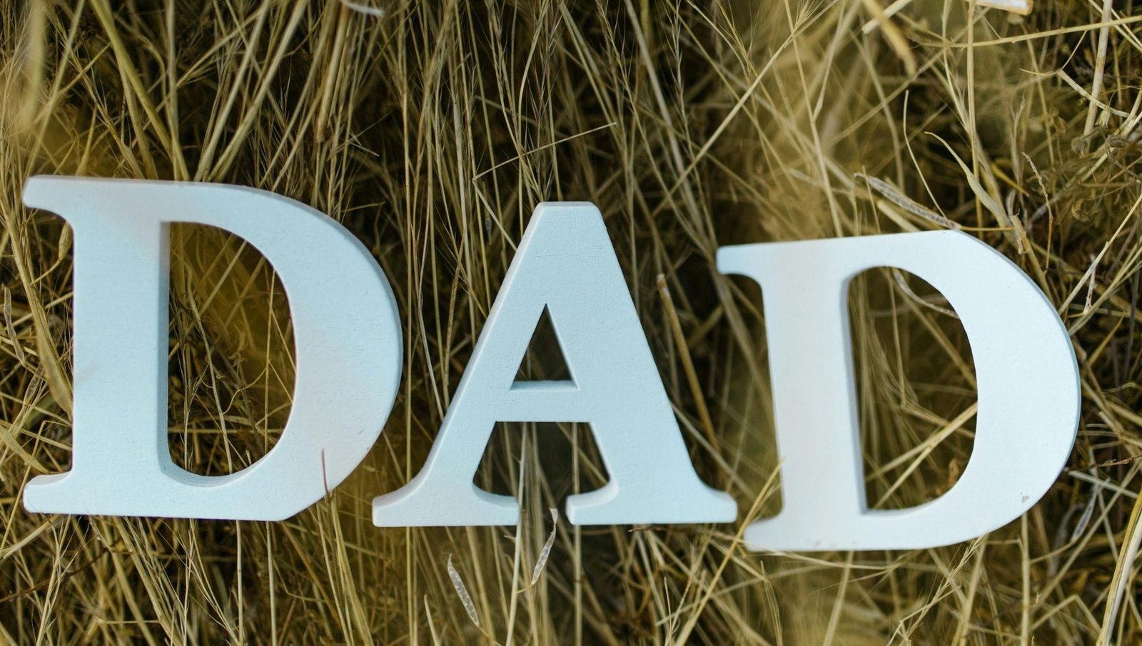 Home pexels photo 8341874 8341874 scaled e1758996739496.jpg